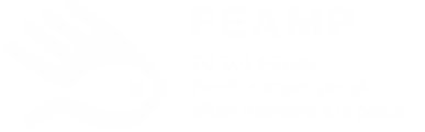 FEAMP - PO 2014-2020 - Fondo europeo per gli affari marittimi e la pesca